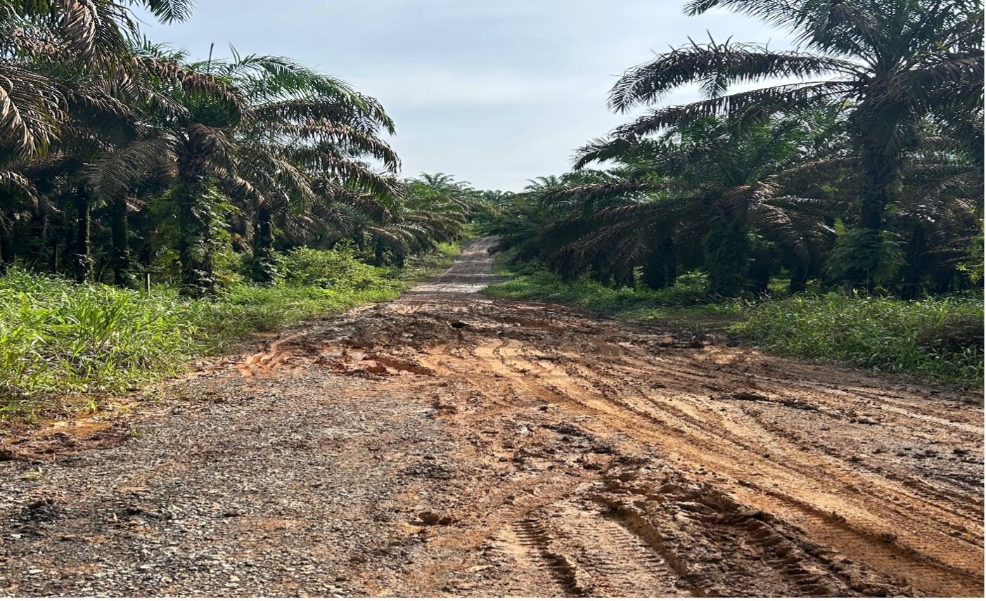 Hujan Lebat, Jalan Kampung Jadi Lautan Lumpur: Warga Keluhkan Infrastruktur yang Rusak