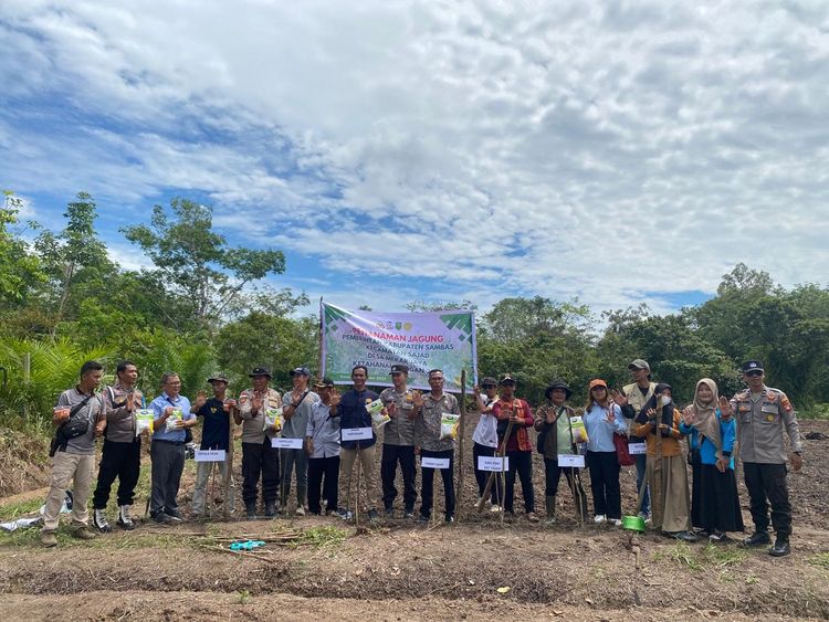 Pemdes Desa Mekar Jaya Lakukan Penanaman Jagung Serentak