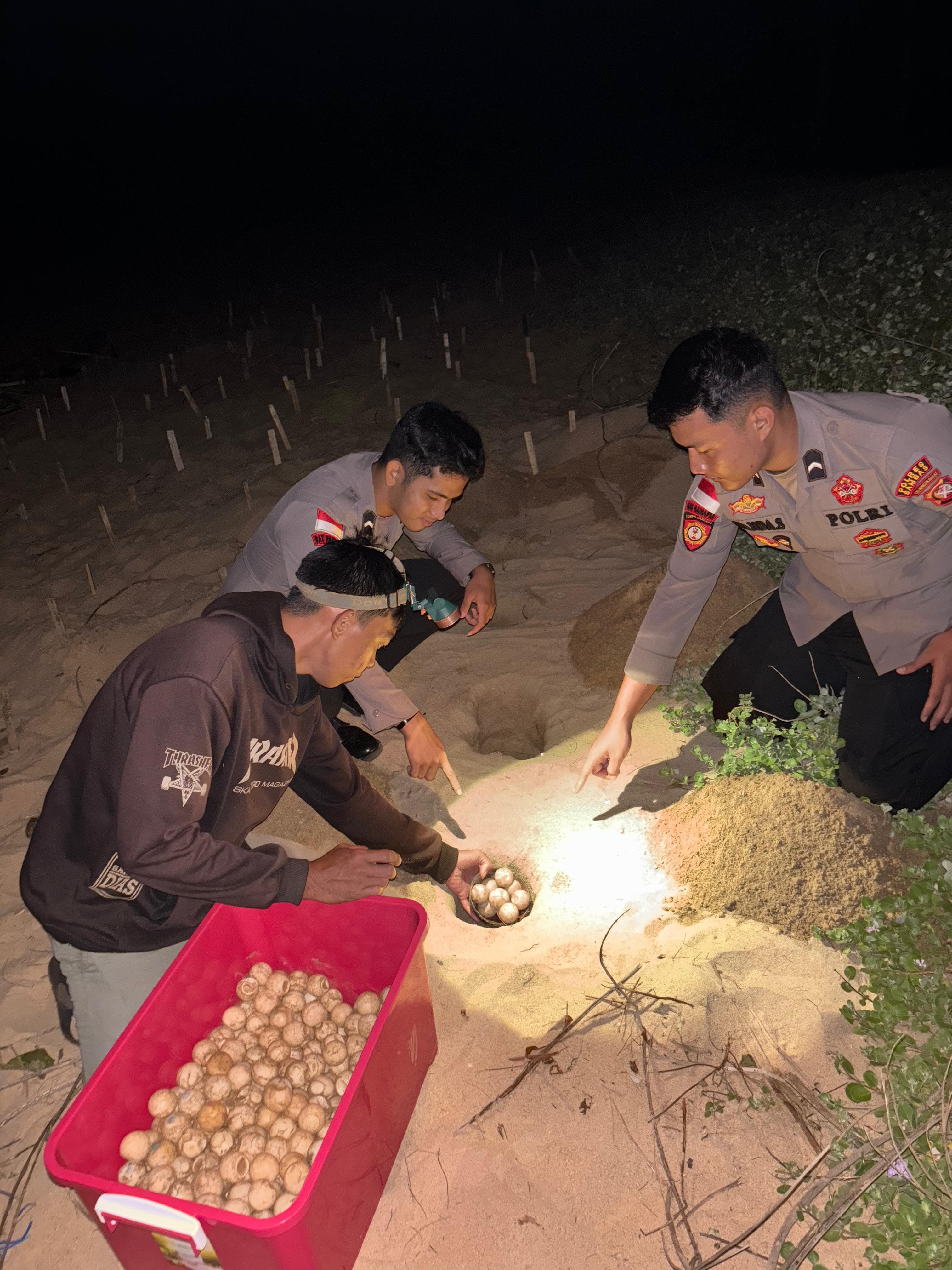 Dukung Konservasi Penyu, Polres Sambas Serahkan Telur Penyu Sitaan ke WWF