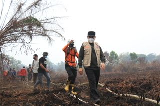 Karhutla Kalbar Mulai Menurun, Norsan: Tinggal 50 Titik Api