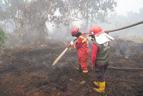 Kesadaran Warga Dibutuhkan, Pemprov Kalbar Fokus Cegah Kebakaran Baru