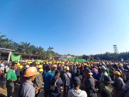 KMKS Desak PT PANP dan PT SAM Penuhi Hak Buruh, Aksi Mogok Kerja Masuki Hari Ketiga