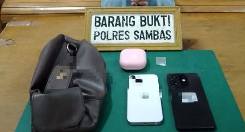 Satresnarkoba Polres Sambas Ringkus Pengedar Sabu di Pendawan