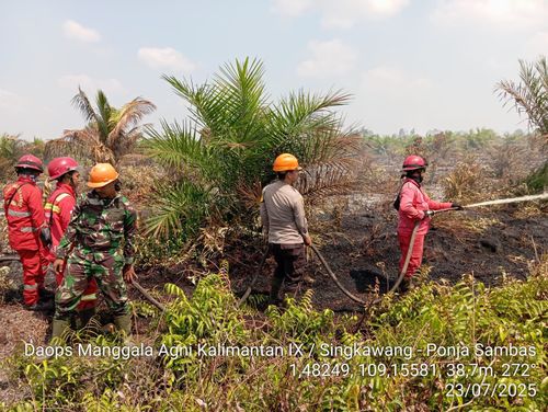 Karhutla di Sambas Meluas, Tim Gabungan Terus Berjuang Padamkan Api di Lahan Gambut