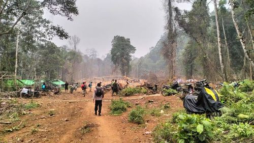 PETI Ditemukan di Kawasan Hutan Sambas, Dua Pondok di TWA Gunung Asuansang Dibongkar