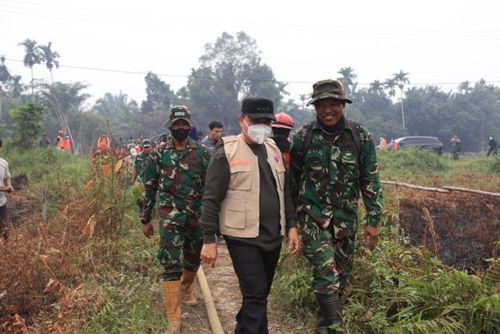 Ketegasan Ria Norsan Berlanjut, 4 PBPH Disanksi Terkait Karhutla