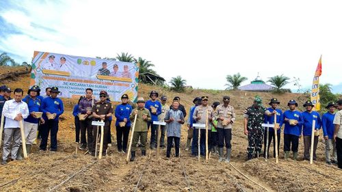 Tanam Jagung Serentak, Camat Subah: Bukti Ketahanan Pangan Masyarakat Mandiri