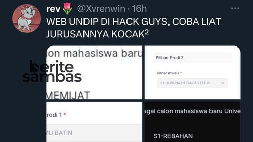 Viral! Web Pengumuman Ujian Mandiri Undip di Hack, Muncul Jurusan S1 Ilmu Batin Hingga Cek Khodam
