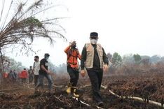 Karhutla Kalbar Mulai Menurun, Norsan: Tinggal 50 Titik Api
